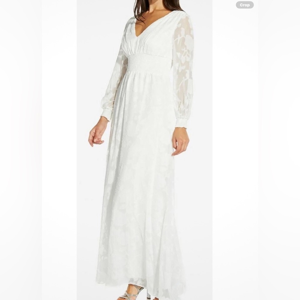Adrianna Papell Chiffon Dress